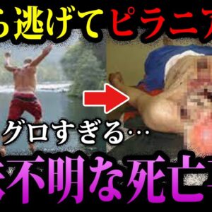 【ゆっくり解説】どうしてそうなった…意味不明な死亡事故５選