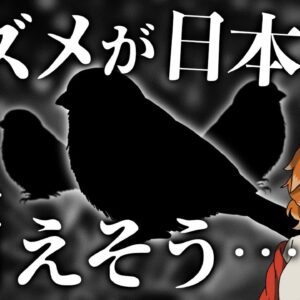 【悲報】日本のスズメ、減少しすぎてマジで絶滅しそう…