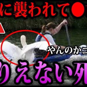 【ゆっくり解説】これ全部実話です…意味不明な死亡事故５選