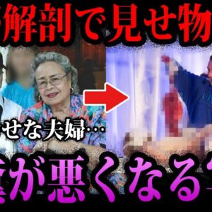 【ゆっくり解説】この直後、最悪の展開に…意味がわかると胸糞が悪くなる画像５選