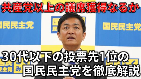 【ゆっくり解説】今若者に人気急上昇中？国民民主党の政策や方針を徹底解説