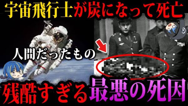 【ゆっくり解説】生きたままぐちゃぐちゃに…本当にあった最悪の死因４選