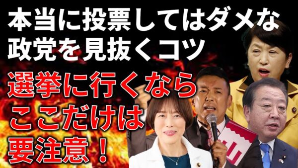 選挙に行く人には絶対に見てほしい「選んではいけない政党」