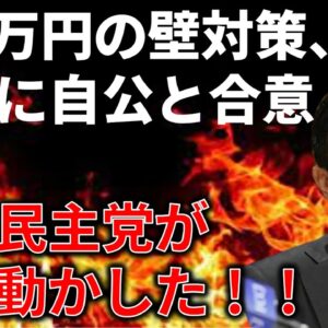 <span class="title">【政治まとめ】国民民主党の103万円の壁対策が一歩前進した件＆兵庫県知事選挙からわかる、SNSがマスメディアに勝つ時代へ</span>