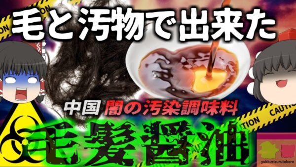 【2004年】『髪の毛と汚物から作った醤油』中国で人毛を原料にした粗悪な醤油製造が摘発 　発がん性のある有毒物質を含有する醤油が未だに屋台で使用され…【ゆっくり解説】