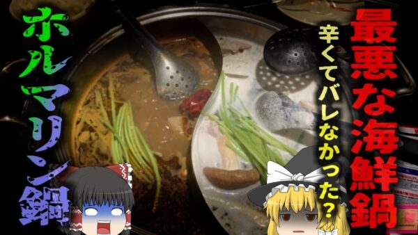 【2013年】『ホルマリン漬け海鮮鍋』中国で大人気の辛い鍋料理 麻辣湯の材料の保存に使用禁止の薬剤 繰り返し摂取することで内臓癌にも…【ゆっくり解説】