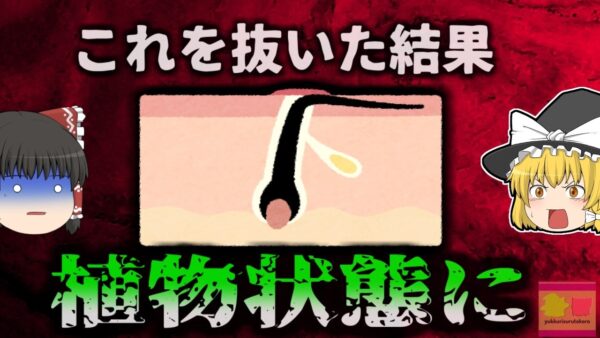 【2022年】「毛を抜いてショック症状に」自分でVIO脱毛を試みた結果 感染症に罹り生存率4%の重病に…毛抜きに潜む恐ろしいリスク【ゆっくり解説