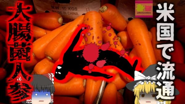 【2024年】命を奪う『猛毒にんじん』ミニニンジンなどのオーガニック栽培の野菜に大腸菌…アメリカ18州に流通し集団食中毒に【ゆっくり解説】