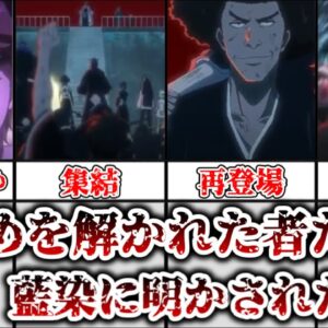 【ゆっくり解説】戒めを解かれた者たち 藍染、霊王について明かされたこと、千年血戦篇第31話で明かされたことについて解説、考察【BLEACH】