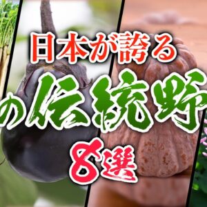 【9割が知らない】日本が誇る、素晴らしき幻の伝統野菜8選