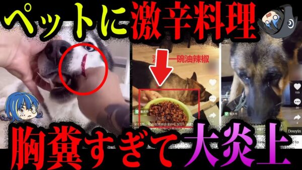 【ゆっくり解説】こいつら頭おかしい…胸糞すぎてSNSで大炎上した奴ら５選