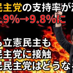 【ゆっくり解説】国民民主党の支持率が急増している件＆自民や立憲とどう関係構築していくのか