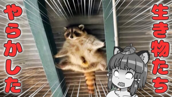 【珍事件】まさかのハプニングをやらかした生き物たち