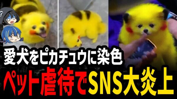 【ゆっくり解説】ペットをおもちゃ扱い。非常識すぎて大炎上した奴ら４選