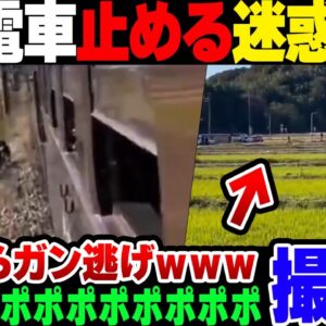 <span class="title">【撮り鉄】また撮り鉄が電車を止めて大炎上！挙げ句わけわからん撮り鉄が撮り鉄らしい擁護をして更に炎上【ゆっくり解説】</span>