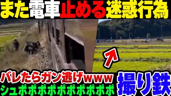 【撮り鉄】また撮り鉄が電車を止めて大炎上！挙げ句わけわからん撮り鉄が撮り鉄らしい擁護をして更に炎上【ゆっくり解説】