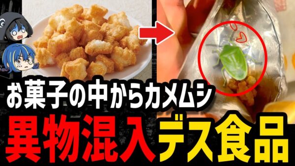 【ゆっくり解説】どうしてこんなものが…本当にあった異物混入デス食品６選