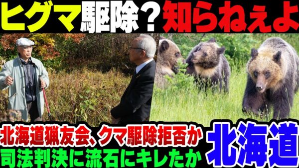 【北海道】ヒグマ駆除で銃を撃ったら猟銃免許取り消しになった件、裁判結果にキレた猟友会がヒグマ駆除を拒否か【ゆっくり解説】