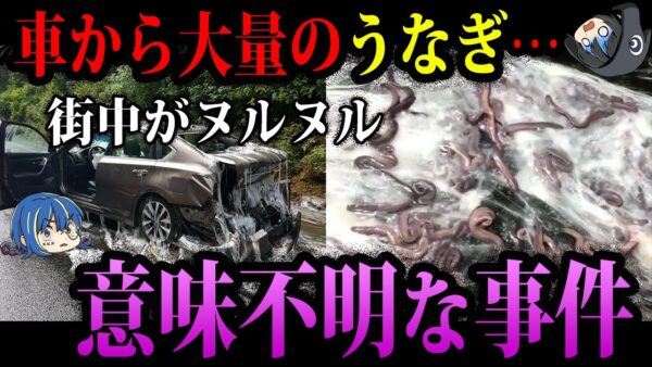 【ゆっくり解説】これ全部実話です…本当にあった意味不明な事件５選