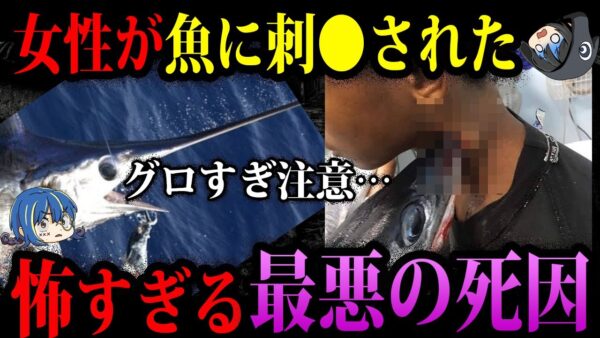 【ゆっくり解説】魚が人を刺し●す…本当にあった最悪の死因６選