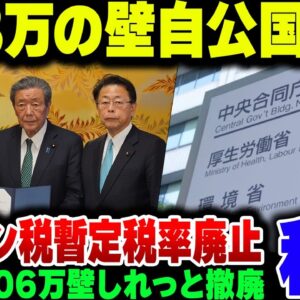 国民民主党が主張していた103万の壁の引き上げ＆ガソリン税暫定税率撤廃が決定！裏で厚労省が厚生年金106万の壁取り除こうとして炎上【ゆっくり解説】