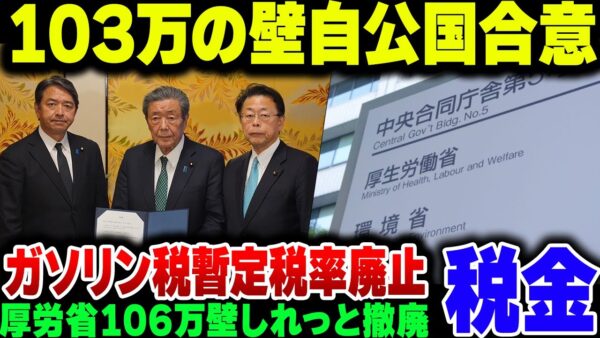 国民民主党が主張していた103万の壁の引き上げ＆ガソリン税暫定税率撤廃が決定！裏で厚労省が厚生年金106万の壁取り除こうとして炎上【ゆっくり解説】