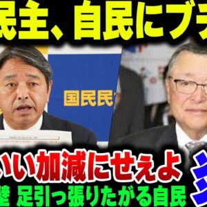 国民民主党、相変わらず103万の壁を178万にあげようとしない自民党、宮沢政調会長にブチキレて協議打ち切り【ゆっくり解説】