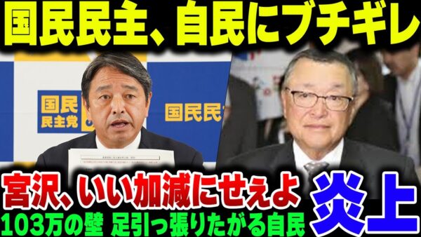 国民民主党、相変わらず103万の壁を178万にあげようとしない自民党、宮沢政調会長にブチキレて協議打ち切り【ゆっくり解説】