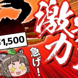 【超激安】今なら