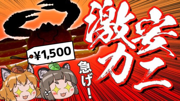 【超激安】今なら