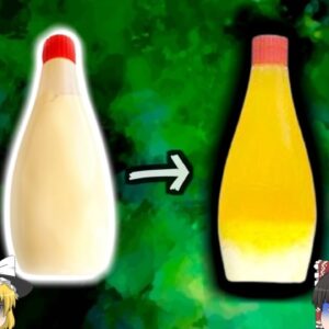 【2005年】『こうなってたらすぐに捨てて』実はNGなマヨネーズの保管方法 「勿体ない」で食べてしまった「毒化マヨネーズ」【ゆっくり解説】
