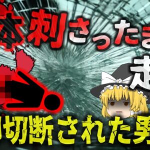 【2016年】『フロントガラスに遺体が刺さったまま…』泥酔状態で運転した29歳女性 人を跳ねるもそのまま走行を続け逮捕【