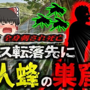 【2023年】『全身を数百か所刺され死亡』大型バスが谷から50ｍ転落 命からがら脱出した生存者を待ち受けていたのは大量の『キラービー』 【ゆっくり解説】