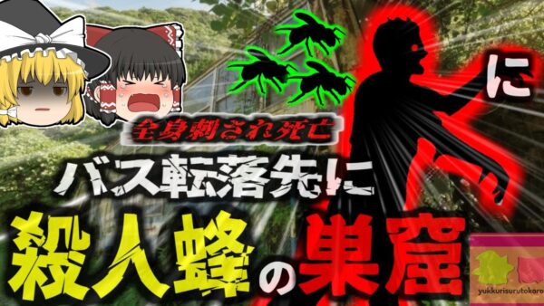 【2023年】『全身を数百か所刺され死亡』大型バスが谷から50ｍ転落 命からがら脱出した生存者を待ち受けていたのは大量の『キラービー』 【ゆっくり解説】