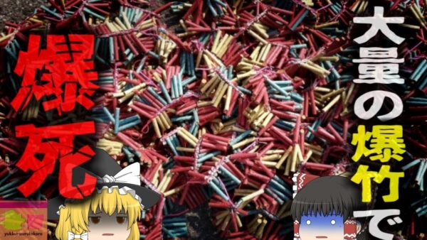 【2024年】『お祭り用の爆竹で爆死』スクーターに詰め込んでいた大量の爆竹が突然爆発 運転手が爆死し、通行人も巻き込む大惨事に【ゆっくり解説】