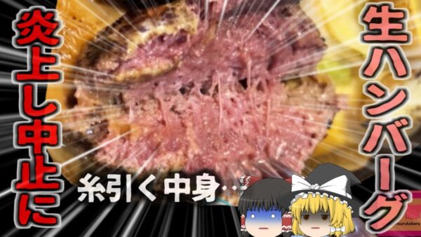 【2024年】『歯が要らないくらい柔らかい”糸を引く”生ハンバーグ…』衛生上の懸念で炎上 牛肉は何故レア状態でも食べられる？挽肉の生焼けがNGな理由とは【ゆっくり解説】