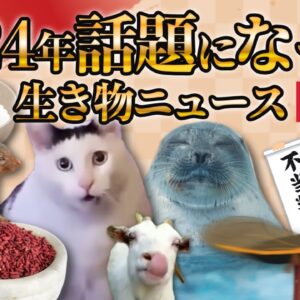 <span class="title">【2024年総集編】これ1本で振り返り！今年話題になった生き物ニュースまとめ</span>