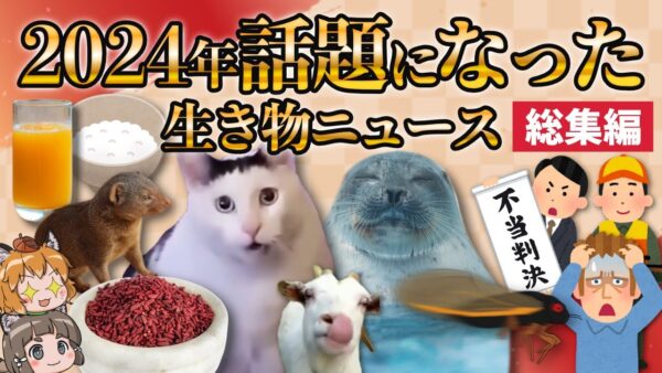 【2024年総集編】これ1本で振り返り！今年話題になった生き物ニュースまとめ
