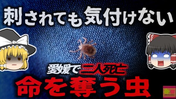 【2024年】「10mmの虫に噛まれ死亡」愛媛県で死亡した男性 致死率約30%の感染症で亡くなってたことが判明 原因は『山に入ったこと』…？マダニ感染症の恐ろしさと対策【ゆっくり解説】