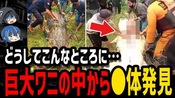 【ゆっくり解説】どうしてこんなところに…死体が見つかったとんでもない場所4選