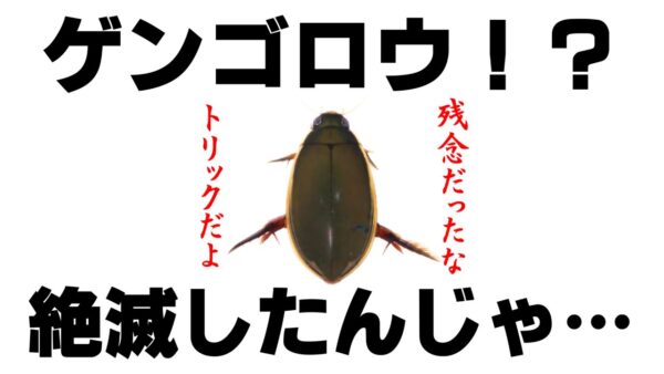 【ゆっくり解説】#47 絶滅寸前だったゲンゴロウが謎の大復活！？あっちこっちで増殖中…【異変】