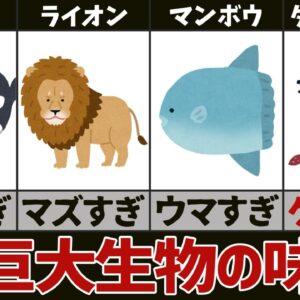 <span class="title">【珍味】ダイオウイカって美味しいの？あの巨大生物の味5選</span>