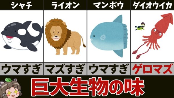 【珍味】ダイオウイカって美味しいの？あの巨大生物の味5選