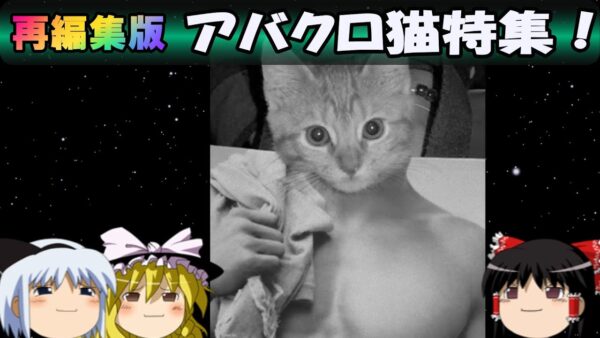 【7周年感謝祭】再編集版　アバクロ猫特集！