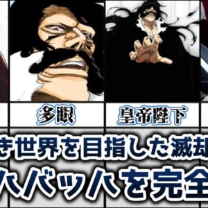 【ゆっくり解説】恐怖無き世界を目指した滅却師の王 ユーハバッハを完全解説【BLEACH】