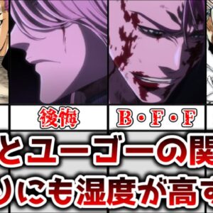 【ゆっくり解説】BLEACHで最も湿度が高く悲しい二人 バズビーとハッシュヴァルトの関係性について解説、考察【BLEACH】