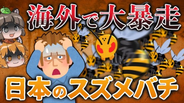 【大暴走】日本のスズメバチが海外で大暴れ！？アメリカでは大パニックに…
