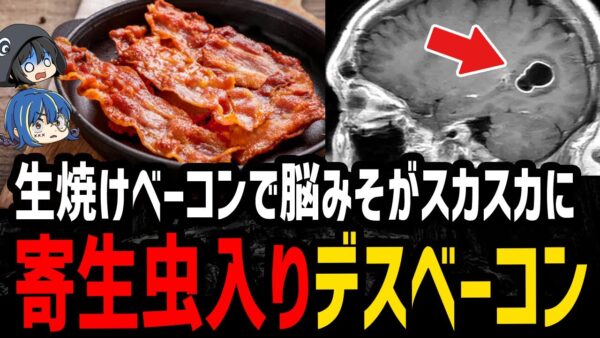 【ゆっくり解説】生焼けベーコンで死にかける…危険すぎるデス食品事件３選