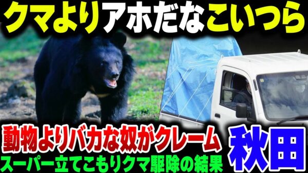 秋田のスーパーに立てこもった熊、屋っと駆除されたと思ったらもっと質の悪い『クレーマー』が電話突撃してきている模様【ゆっくり解説】