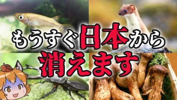 【絶滅寸前】日本から
